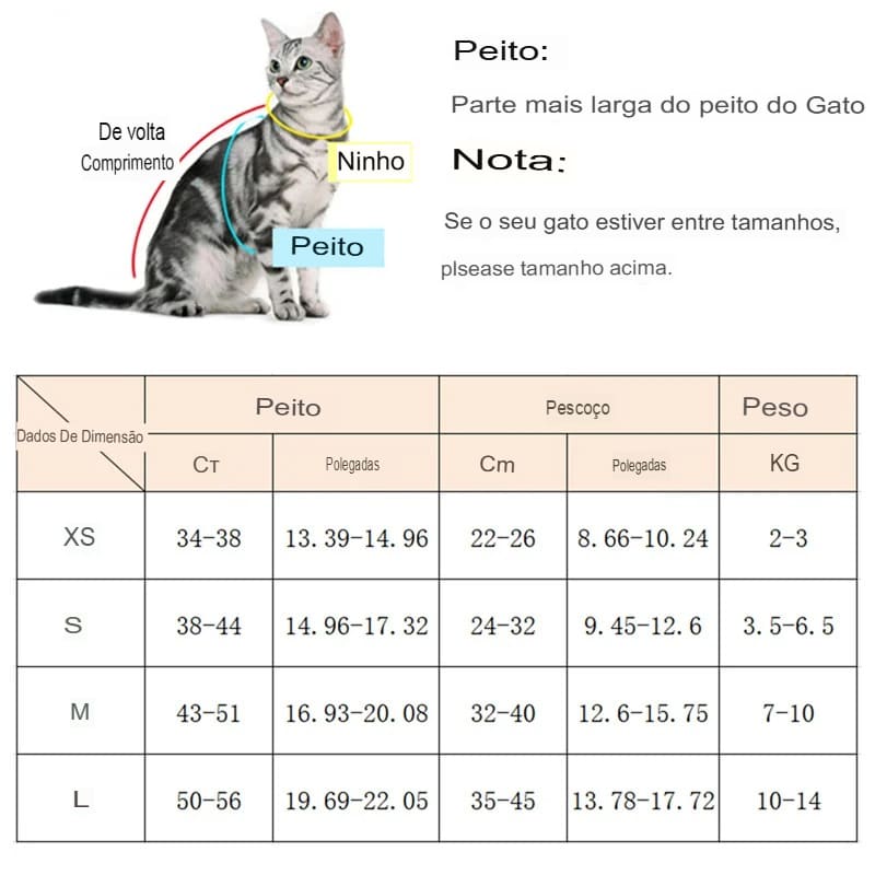 Conjunto de Peitoral e Guia Fashion para Gatos e Cães de Pequeno Porte.