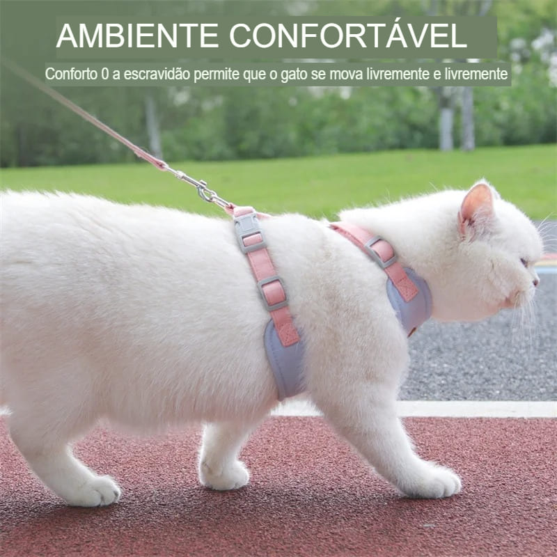 Conjunto de Peitoral e Guia Fashion para Gatos e Cães de Pequeno Porte.