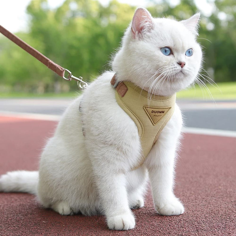 Conjunto de Peitoral e Guia Fashion para Gatos e Cães de Pequeno Porte.