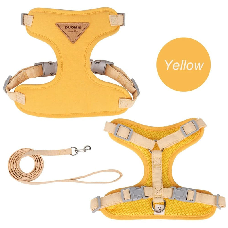 Conjunto de Peitoral e Guia Fashion para Gatos e Cães de Pequeno Porte.
